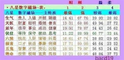 數字磁場算法|深入淺出！數字易經算法入門指南